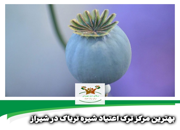 بهترین مرکز ترک اعتیاد شیره تریاک در شیراز