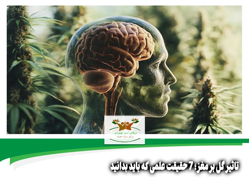 تاثیر گل بر مغز