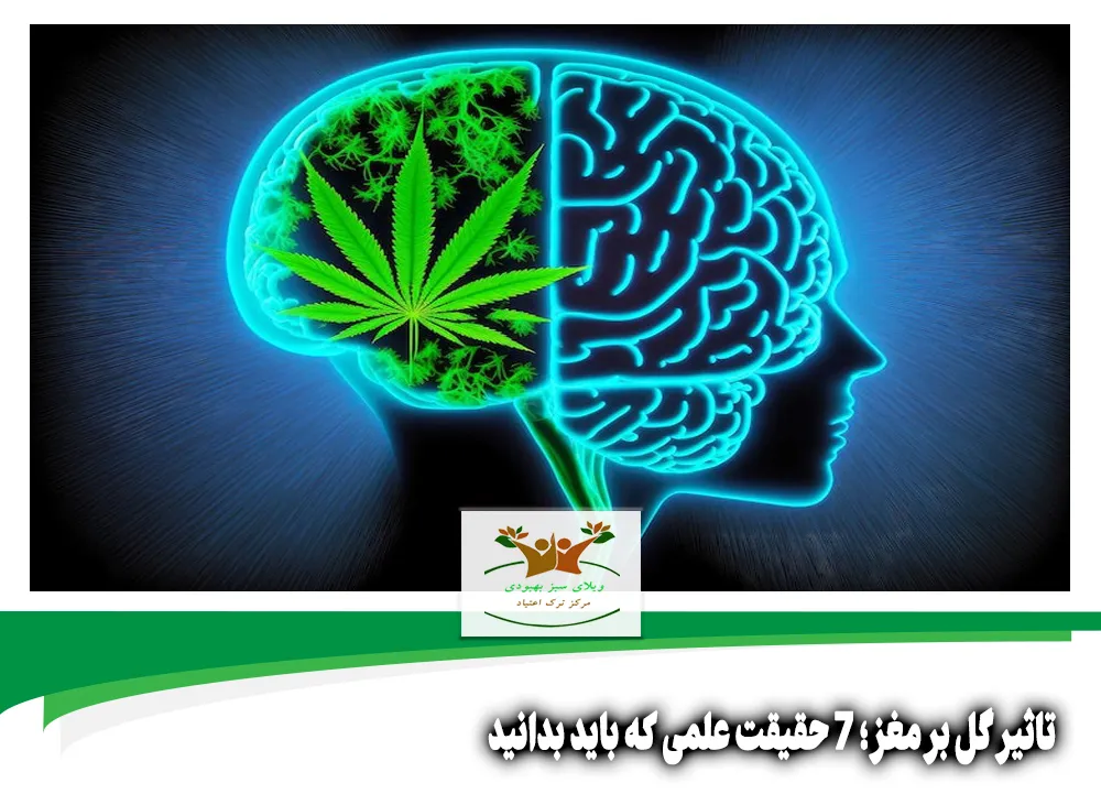 تاثیر گل بر مغز