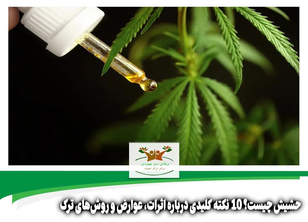 حشیش چیست