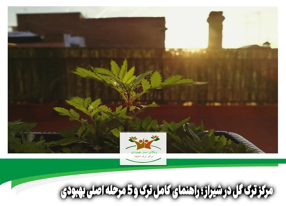 مرکز ترک گل در شیراز