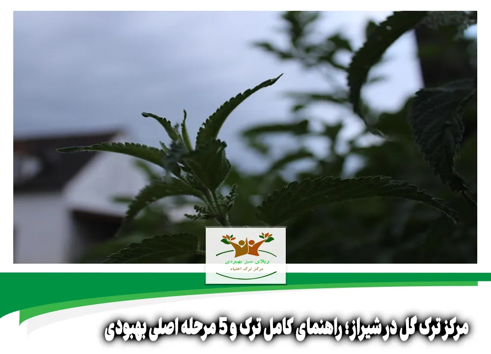 مرکز ترک گل در شیراز
