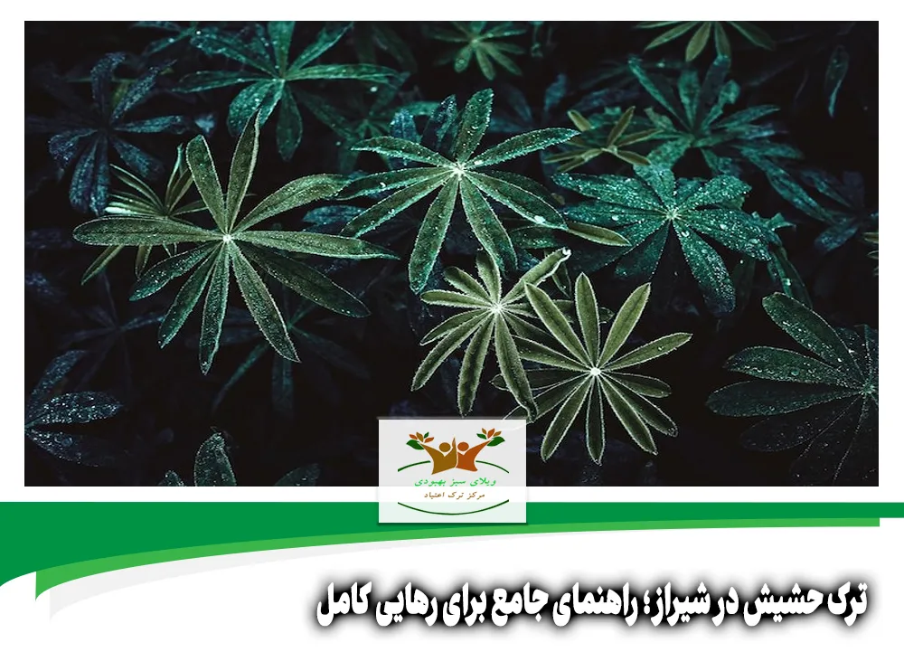 ترک حشیش در شیراز
