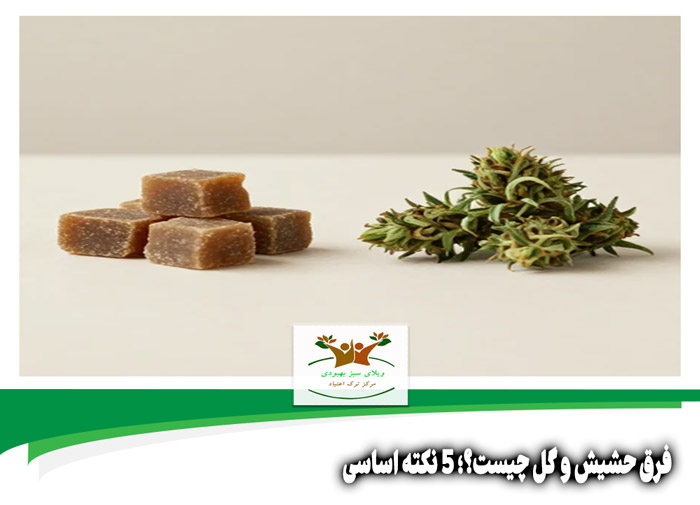 فرق حشیش و گل چیست