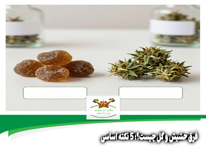 فرق حشیش و گل چیست